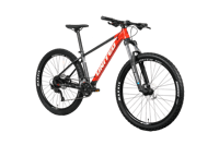 Miniatura Bicicleta Clovis 3.10 Aro 29 -